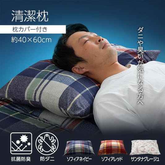 抗菌防臭・防ダニ機能付きで清潔!アレル物質を吸着分解するまくら(カバー付き) 約40×60cm