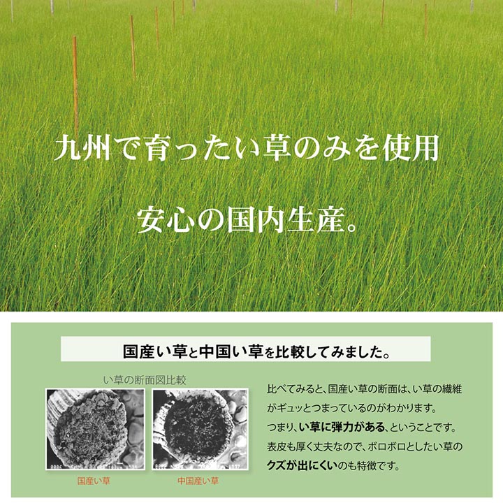 ベビー用い草シーツ さらさらい草のお寝んねシーツ