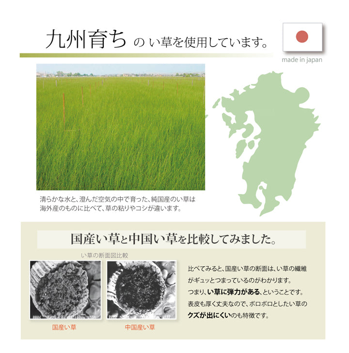 医師との共同開発 い草寝具 『アスク ベビーマット』 約70×120cm(中:固わた15mm)