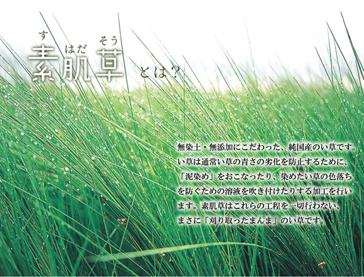 純国産の無染土い草使用 「素肌草 ひやさらベビーマット」約70×120cm