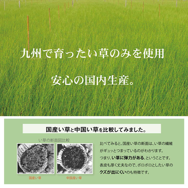 ベビー用い草マット さらさらい草のお寝んねマット