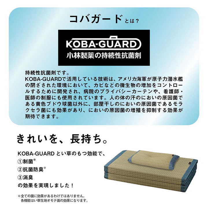 すっきりとしたドット柄のおしゃれな4つ折りい草マットとい草枕のセット