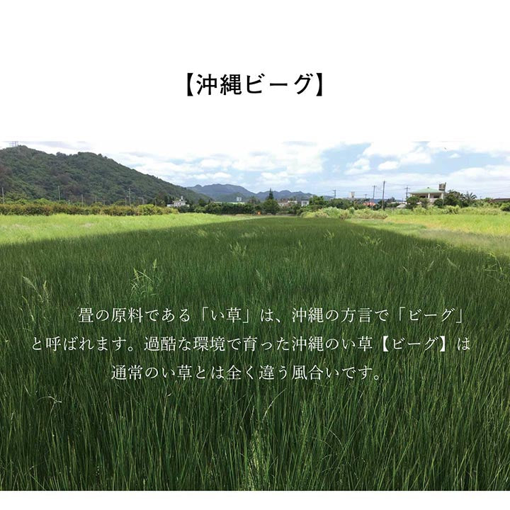 一度使えば癖になる心地よさ沖縄ビーグ敷きラグカーペット
