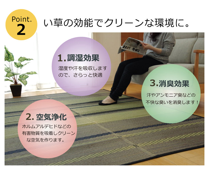 シンプルなボーダーでスタイリッシュない草ラグカーペット NSボーダー