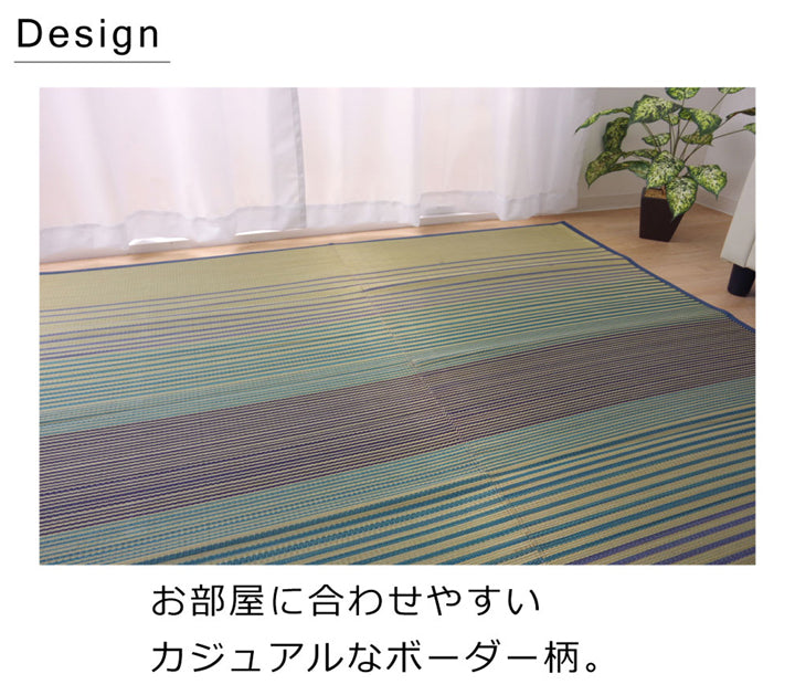 お部屋に敷きやすいカジュアルない草ラグ DXノース