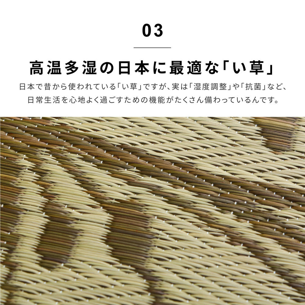 大きな花のデザインが人気のい草ラグ フェアリー