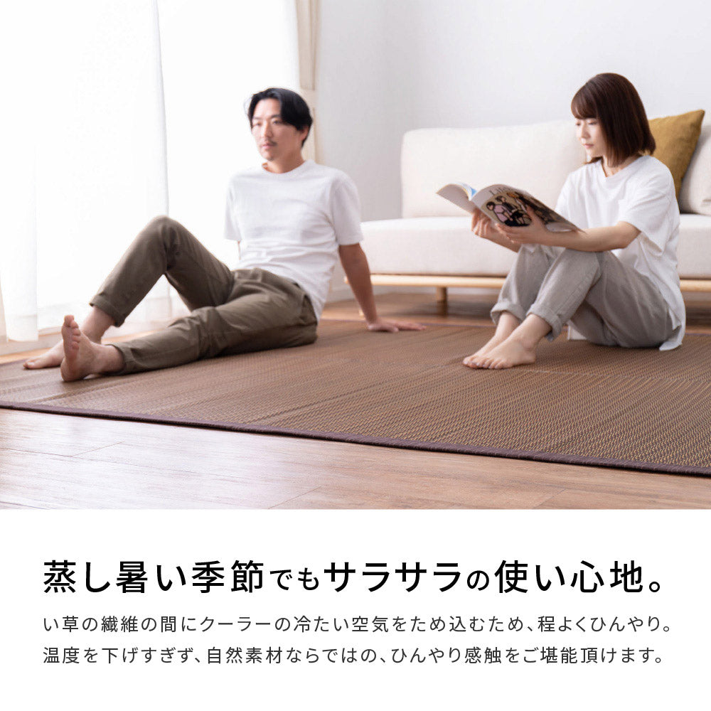 複数の染めい草を使用したシンプルでナチュラルなデザインのい草ラグ 南風