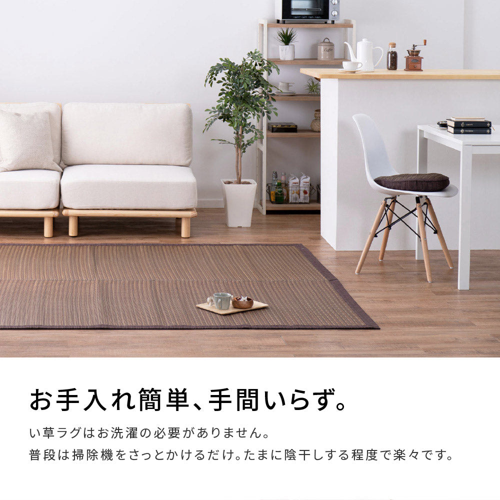 複数の染めい草を使用したシンプルでナチュラルなデザインのい草ラグ 南風