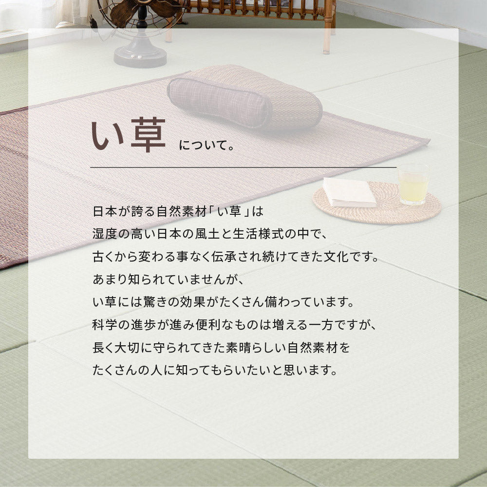 複数の染めい草を使用したシンプルでナチュラルなデザインのい草ラグ 南風