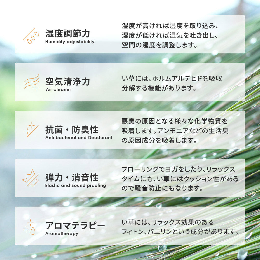 複数の染めい草を使用したシンプルでナチュラルなデザインのい草ラグ 南風