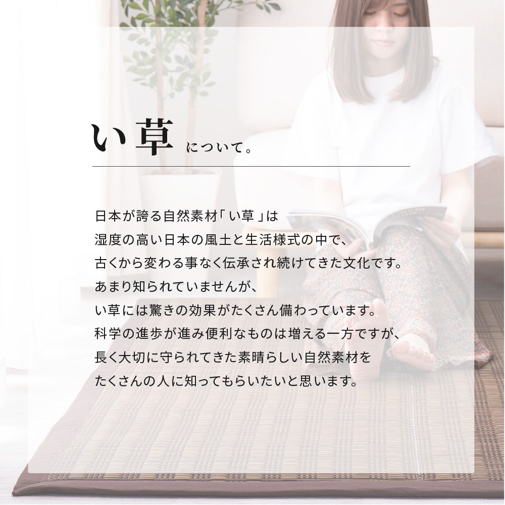 中材にウレタンを約15mm入れた3層構造のい草ラグ 仙名