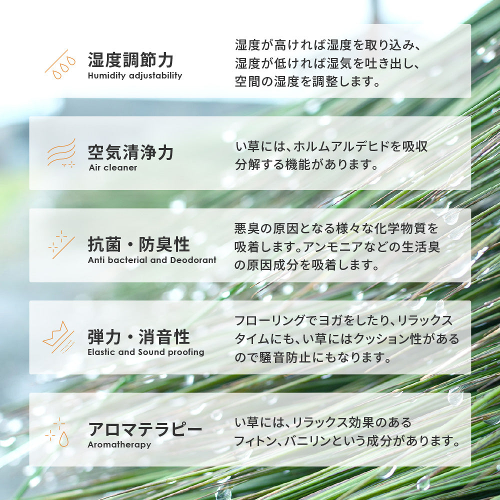 中材にウレタンを約15mm入れた3層構造のい草ラグ 仙名