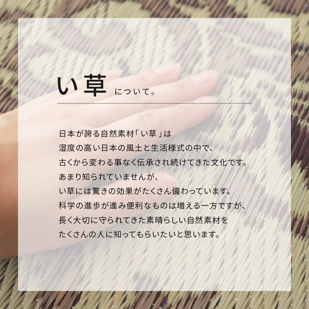 ペルシャ絨毯のような細やかな柄をデザインしたい草ラグ