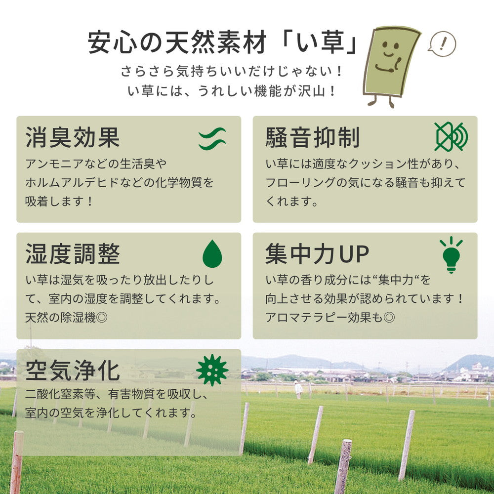 昔ながらのい草という和風素材をシャープで現代的な印象にも感じられるデザインのい草ラグ