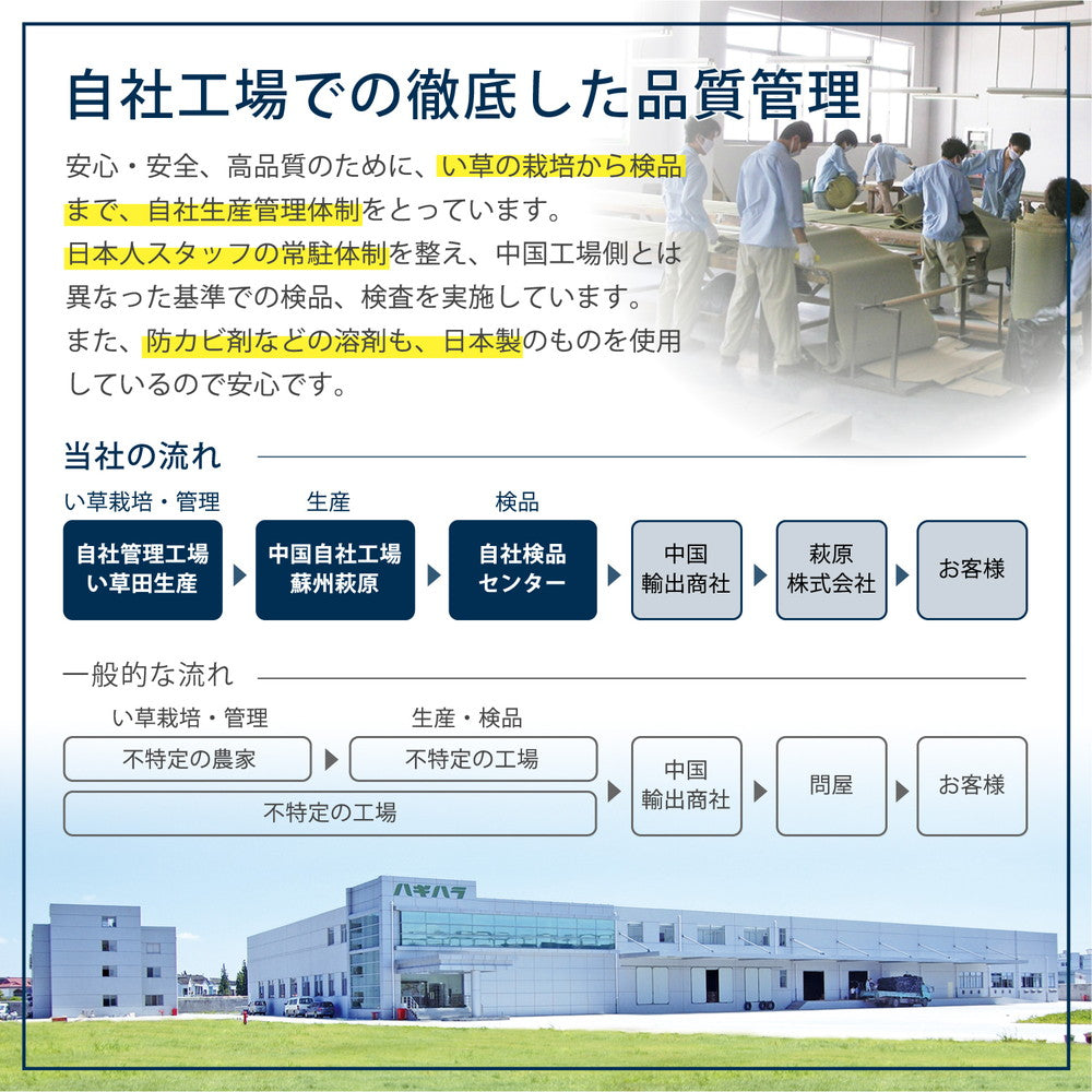 昔ながらのい草という和風素材をシャープで現代的な印象にも感じられるデザインのい草ラグ