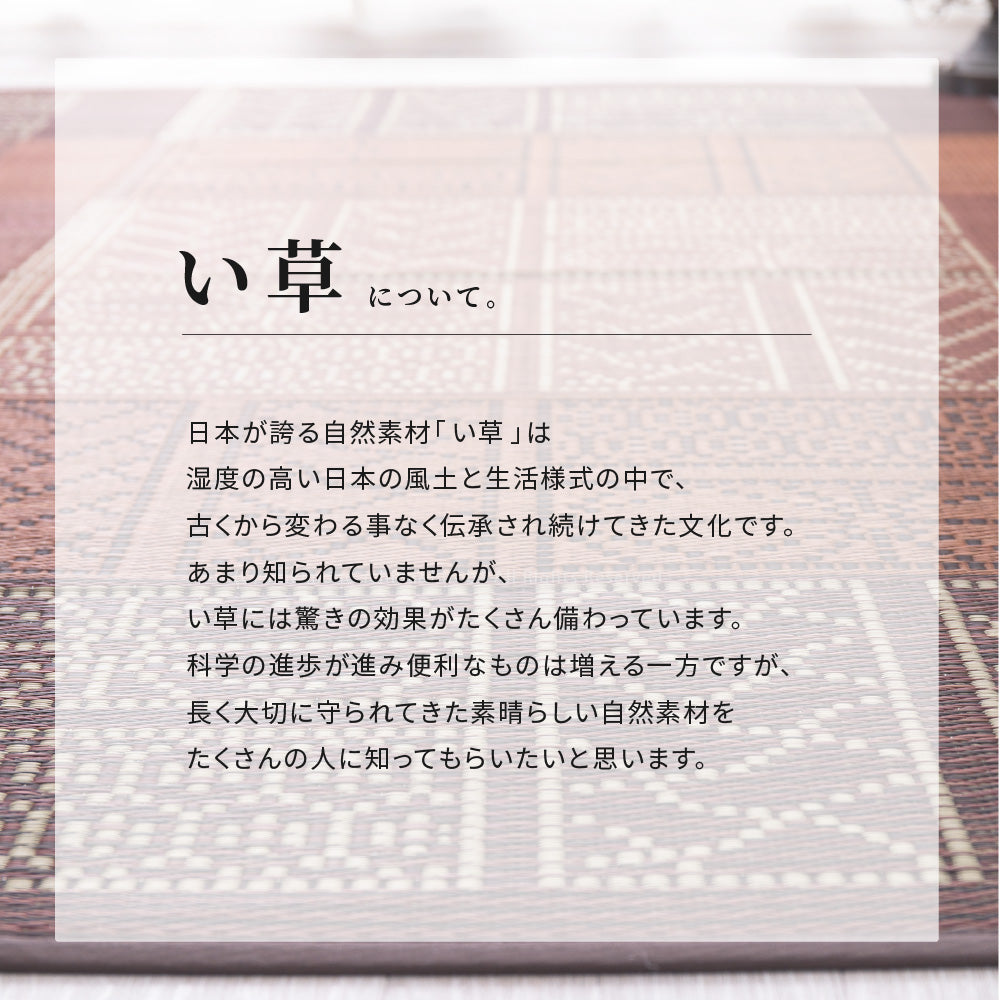 古くから着物などの型染に用いられる「伊勢型紙」を表現したい草ラグ 伊勢