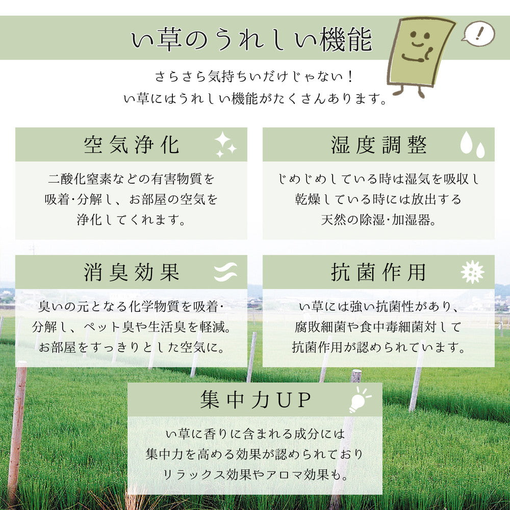 上質な国産い草のみを使用した国産のい草ラグ(裏貼り) 月光
