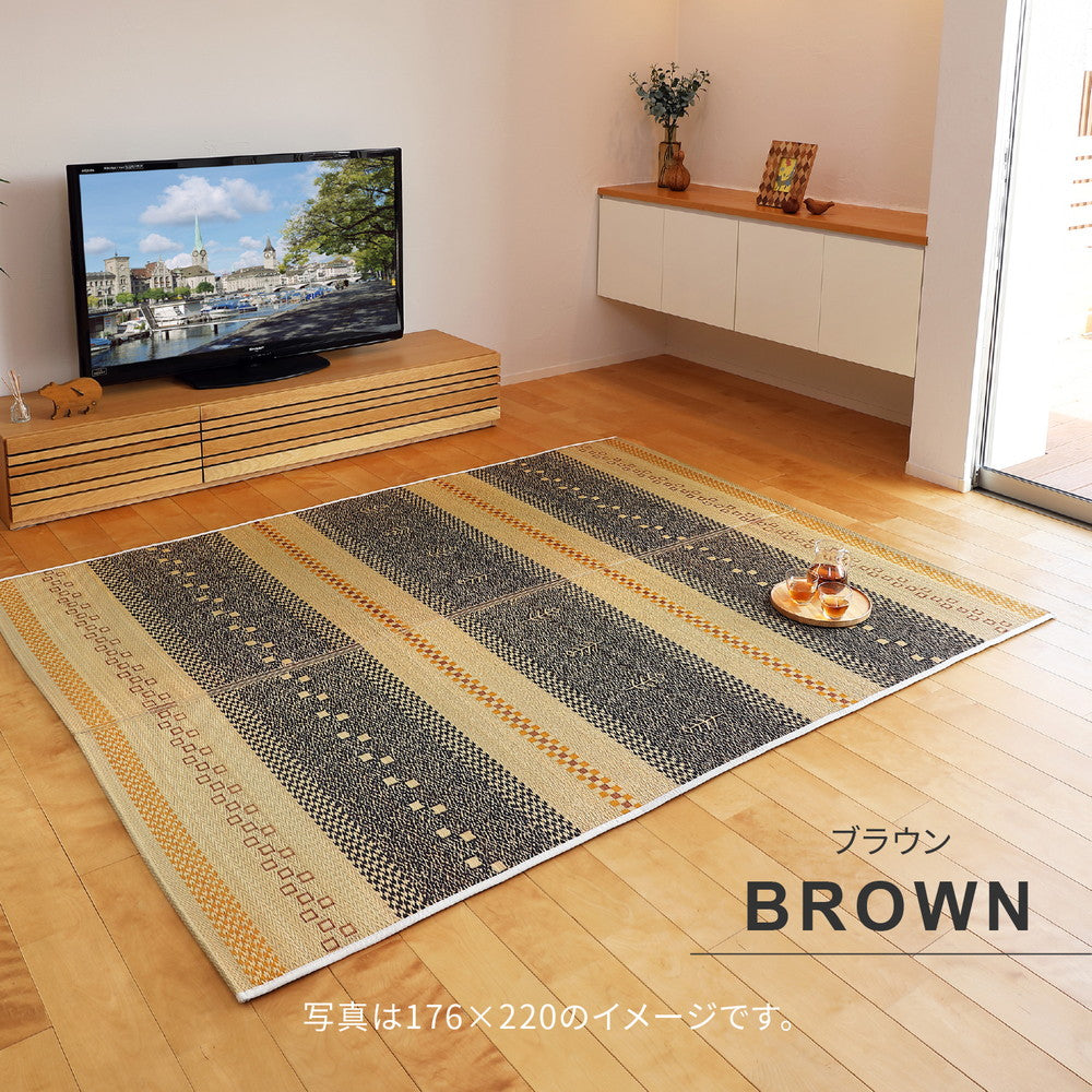 流行りのギャッベ柄ボーダーい草ラグ