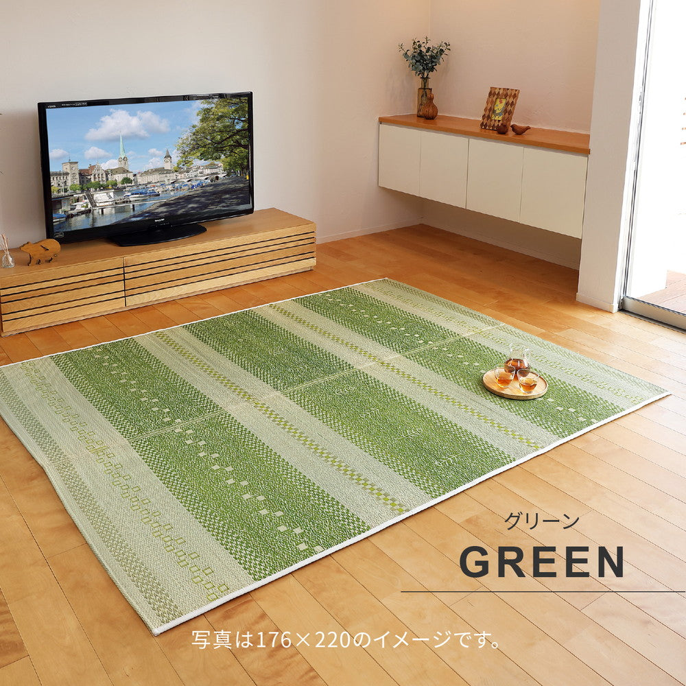 流行りのギャッベ柄ボーダーい草ラグ