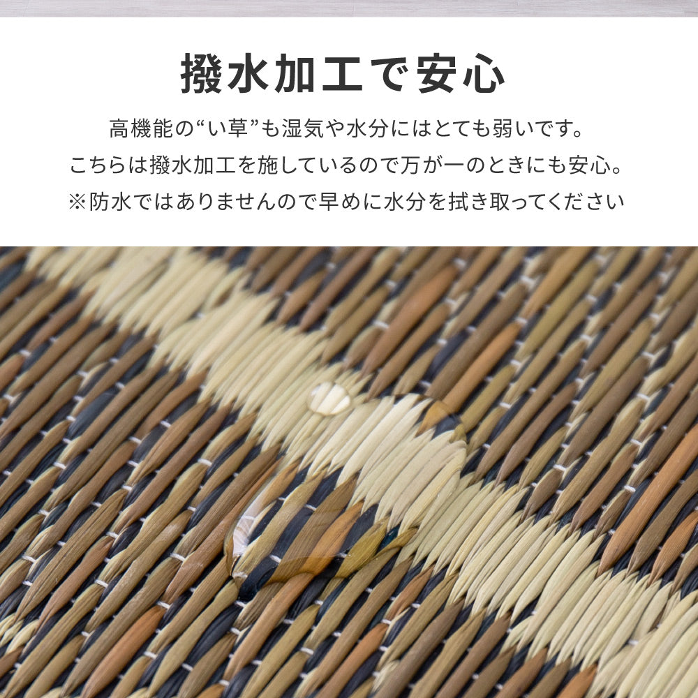 モンステラなどのリーフ柄が涼しげなリゾート気分のい草ラグ リゾート
