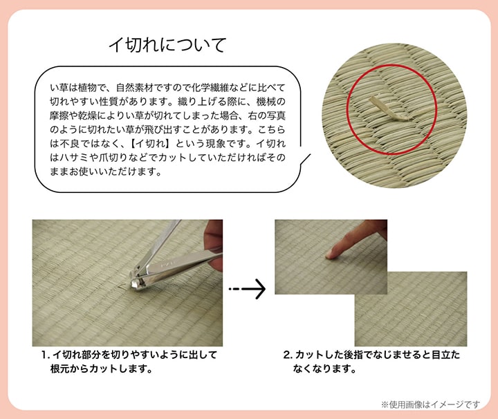 小林製薬の持続性抗菌剤であるKOBA-GUARDを使用したい草ラグ