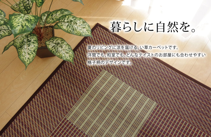 シンプルで飽きのこない格子柄の純国産い草ラグカーペット Fライト