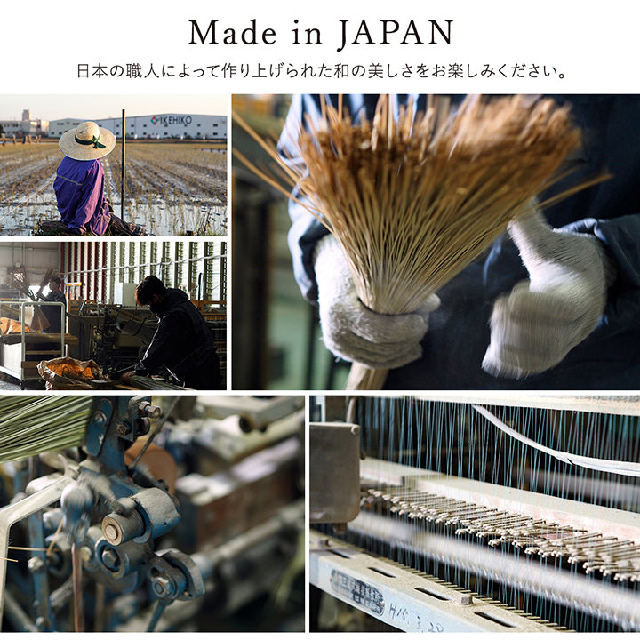 お部屋に合わせて好きな色を選べる無地調の純国産い草ラグ カーペット