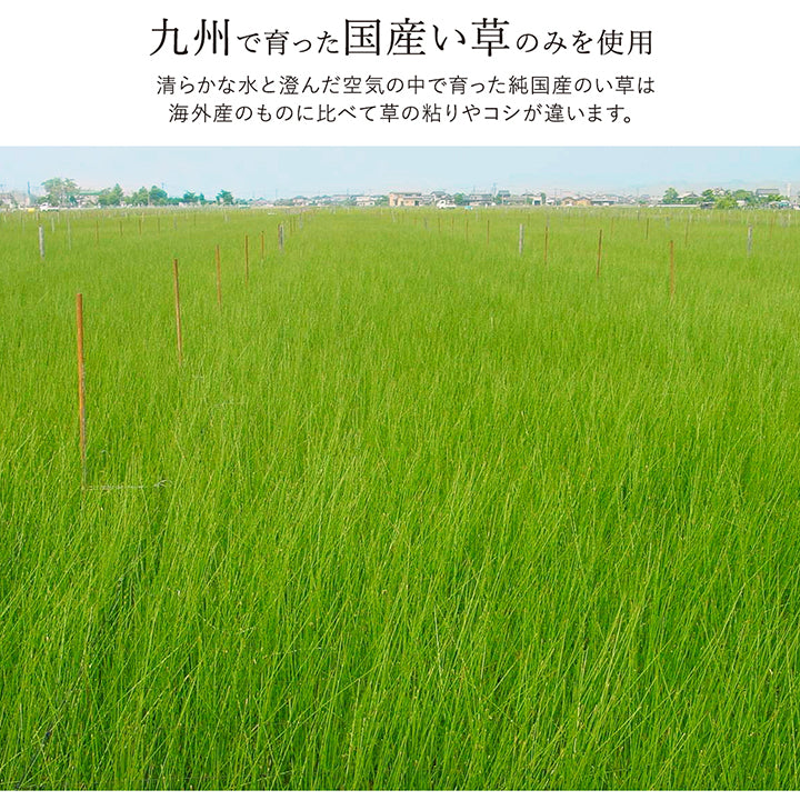 お部屋に合わせて好きな色を選べる無地調の純国産い草ラグ カーペット