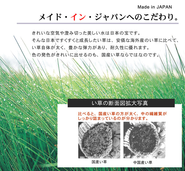 リビングに溶け込む純国産 い草ラグ カーペット Fリブロ 裏面:不織布タイプ