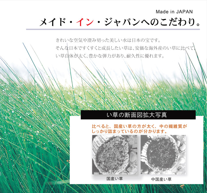カジュアルなリーフ柄をあしらったカラフルなデザインのい草ラグ カーペット Fナチュレ 裏面:不織布タイプ