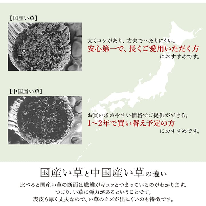 細かい織目が美しく、敷くだけで高級感が漂うモダンなデザインのい草ラグ カーペット