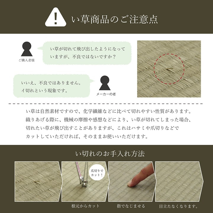 小林製薬の持続性抗菌剤であるKOBA-GUARDを使用したい草ラグカーペット