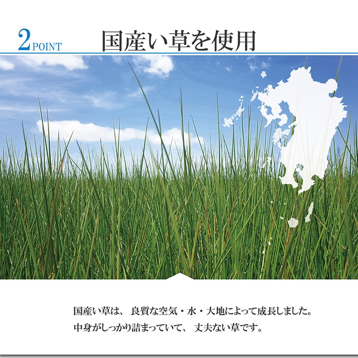 小林製薬の持続性抗菌剤であるKOBA-GUARDを使用したい草ラグカーペット