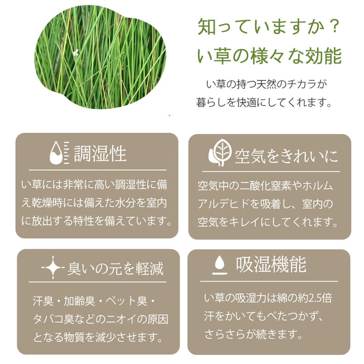 深い紺と赤紫を基調をした高級感あるエレガンスな雰囲気を表現したい草ラグ