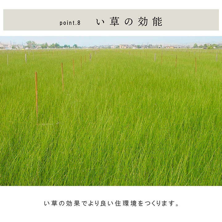 国産 い草 日本製 置き畳 ユニット畳 簡単 和室 6層 約70×70×4.5cm