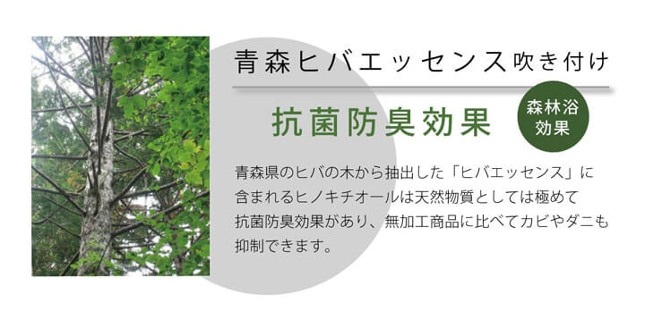 涼しさを感じるきれいなグラデーションのい草ラグカーペット ルース