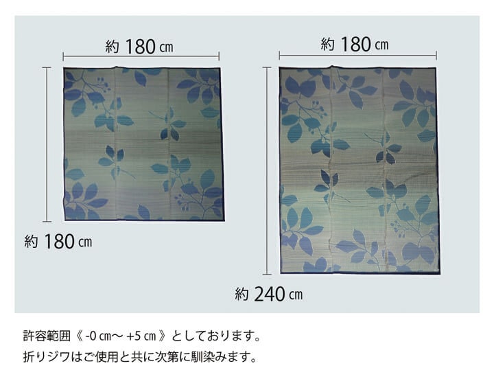 涼しさを感じるきれいなグラデーションのい草ラグカーペット ルース