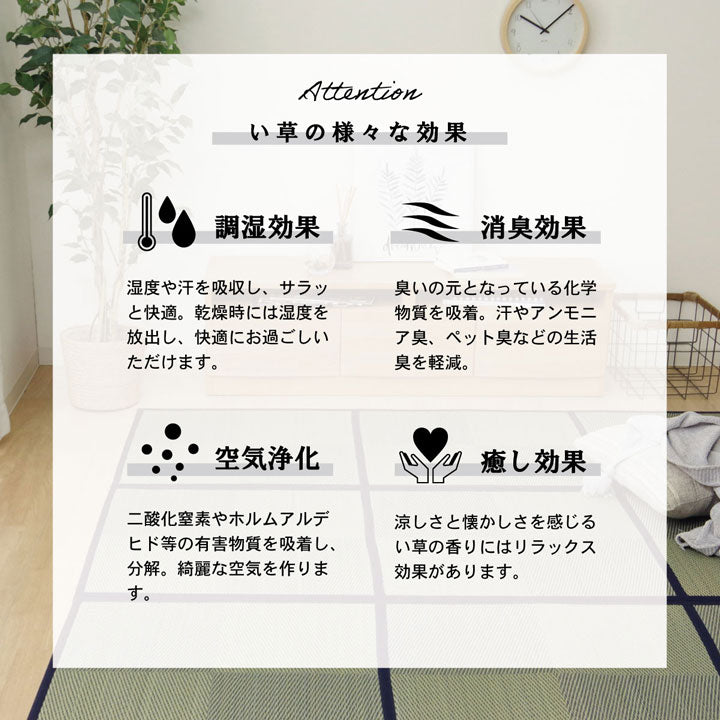 まるで置き畳のようなデザインのい草ラグカーペット