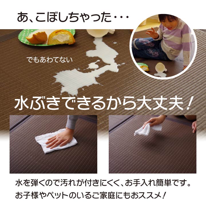 水拭きできるポリプロピレン置き畳(ユニット畳) スカッシュ