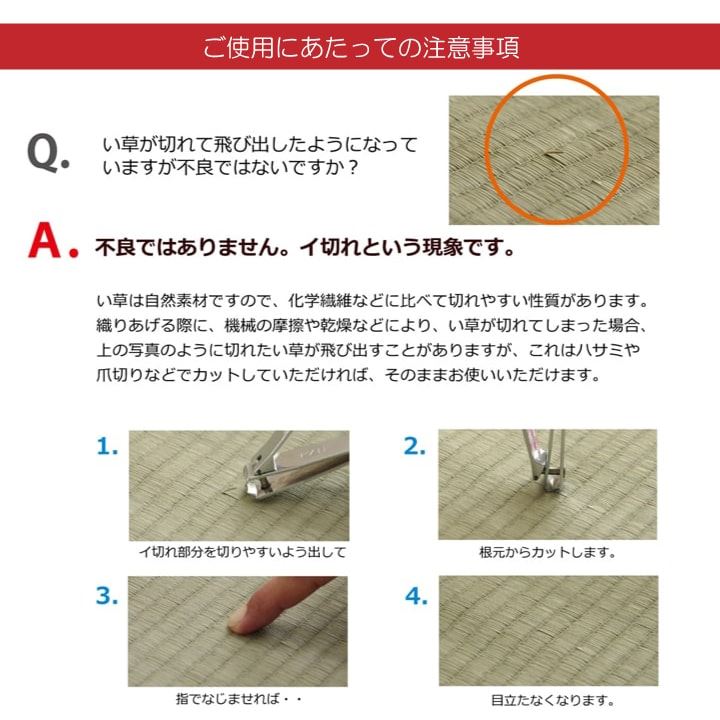 敷き方や向きによって柄の見え方が変わる手軽に模様替えができる大きなリーフ柄が特徴の置き畳