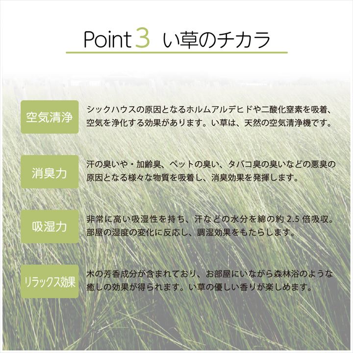 敷き方や向きによって柄の見え方が変わる手軽に模様替えができる大きなリーフ柄が特徴の置き畳