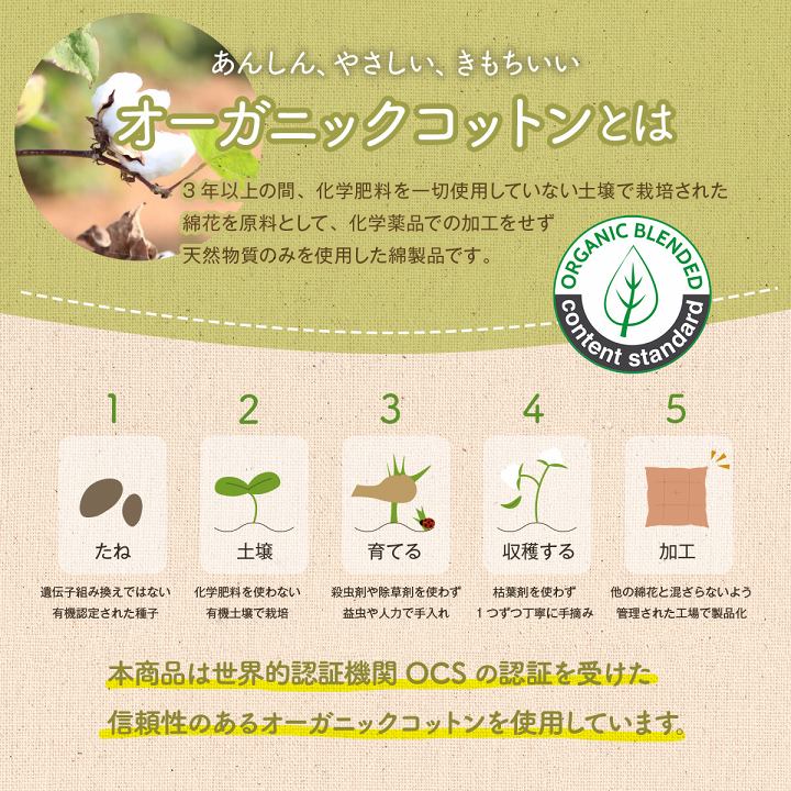 日本製綿100%洗えるシートクッション ポール
