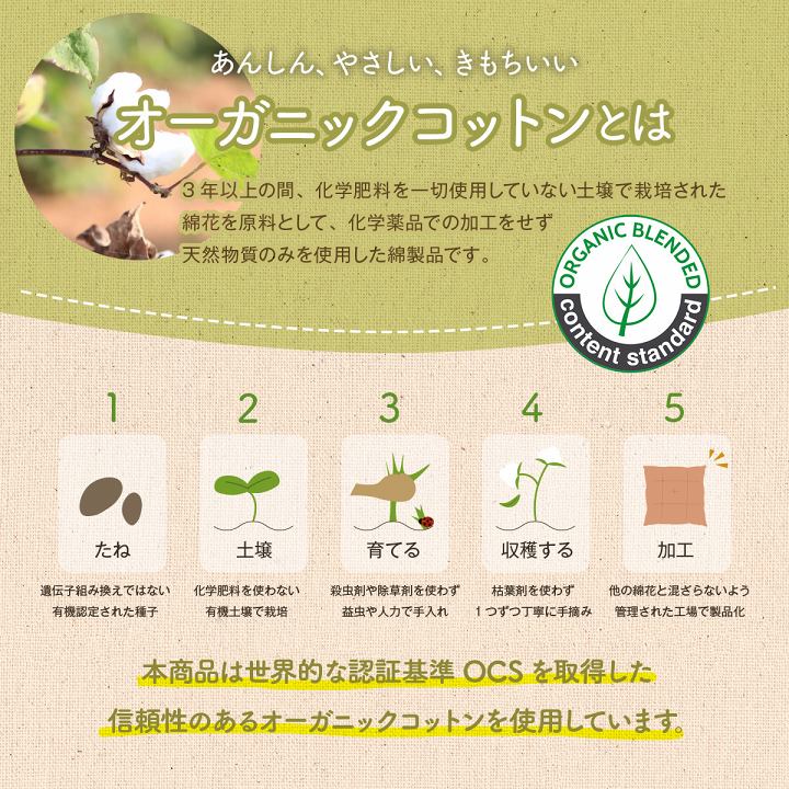 日本製綿100%洗える穴あき円座クッションクッション ポール