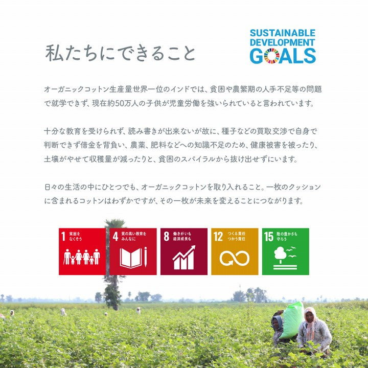 日本製綿100%洗える穴あき円座クッションクッション ポール