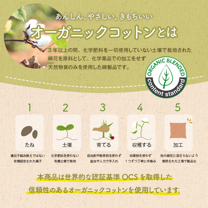 クッション 円形 円座 穴あき 日本製 オーガニックコットン 綿100% ボーダー 洗える