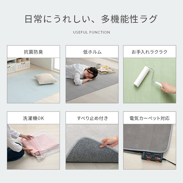 生地に抗菌・防臭加工を施した、なめらかタッチの洗えるサイズ豊富な円形サイズもあるラグカーペット ピオニー2