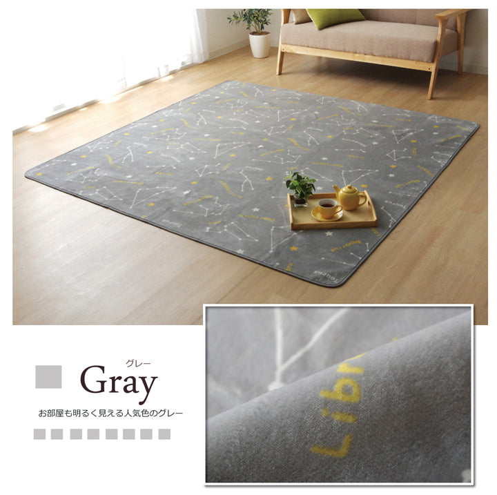 抗菌・防臭 ウォッシャブル フランネル ホットカーペットカバー対応ラグ『WSミリオン RUG」