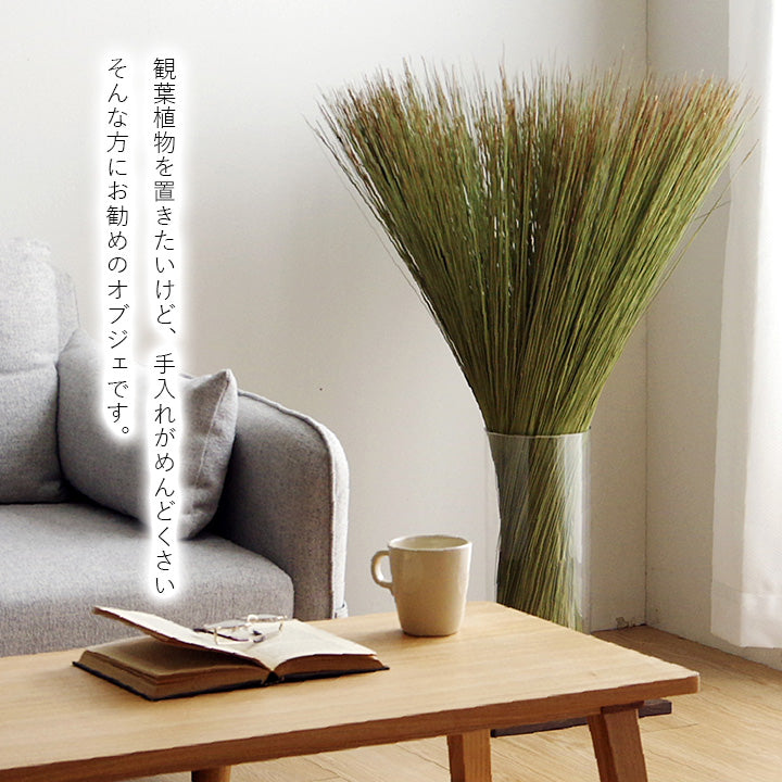 お部屋に置くだけで消臭効果を発揮してくる、い草そのものをいかした消臭機能付きの観葉植物