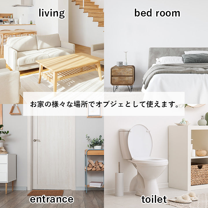 お部屋に置くだけで消臭効果を発揮してくる、い草そのものをいかした消臭機能付きの観葉植物