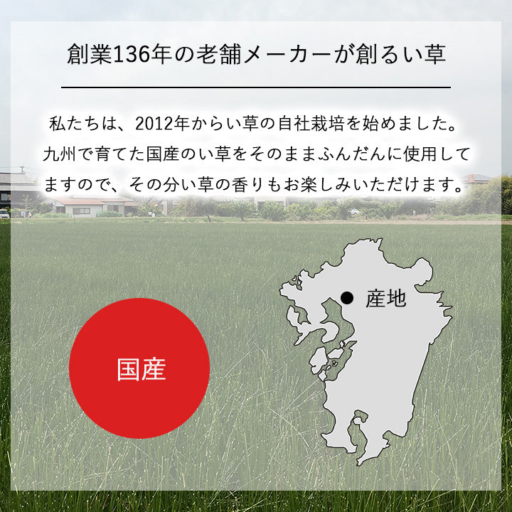 お部屋に置くだけで消臭効果を発揮してくる、い草そのものをいかした消臭機能付きの観葉植物